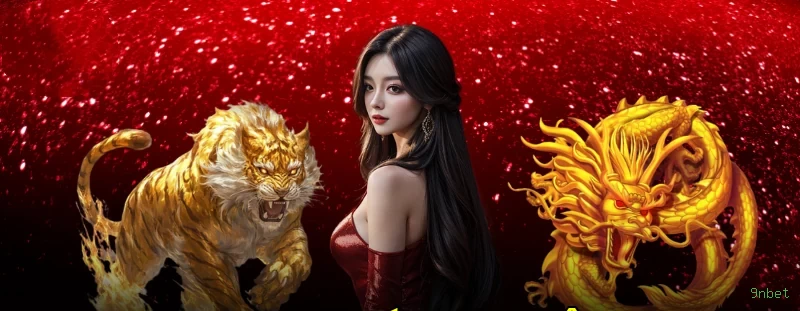 Futebol Brasileiro Apostas